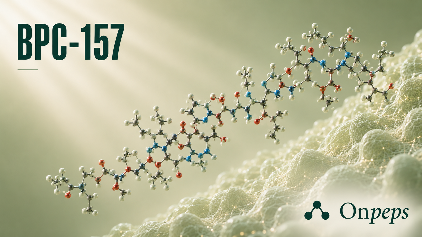The definitive audit of BPC-157. Read the complete breakdown of the published preclinical evidence, human safety data, and current WADA and FDA status