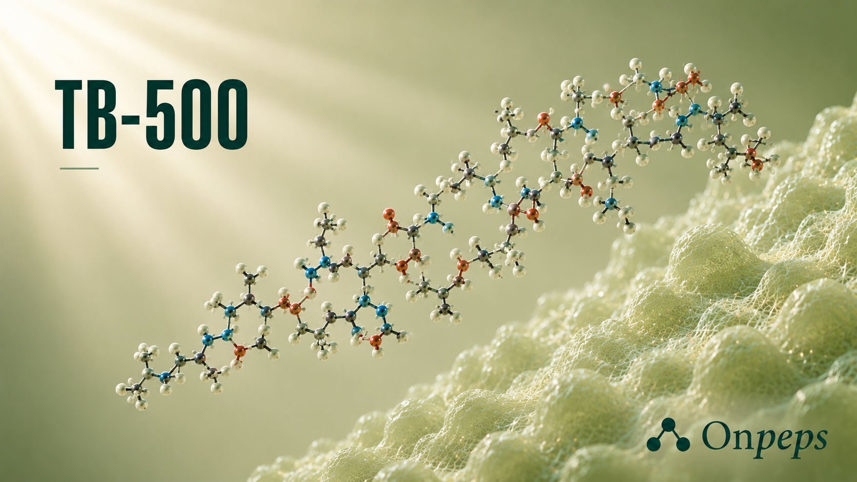 TB-500 PEPTIDE BY ONPEPS